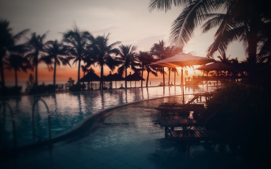 Download Wallpaper Sunset at the seaside, palms and swimming pool