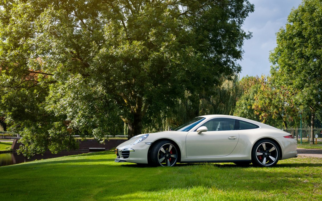 Download Wallpaper White Porsche Carrera 911 on grass