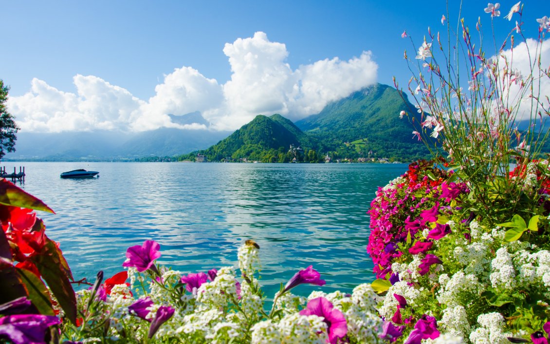 Download Wallpaper Colorful flowers and montains on the seashore
