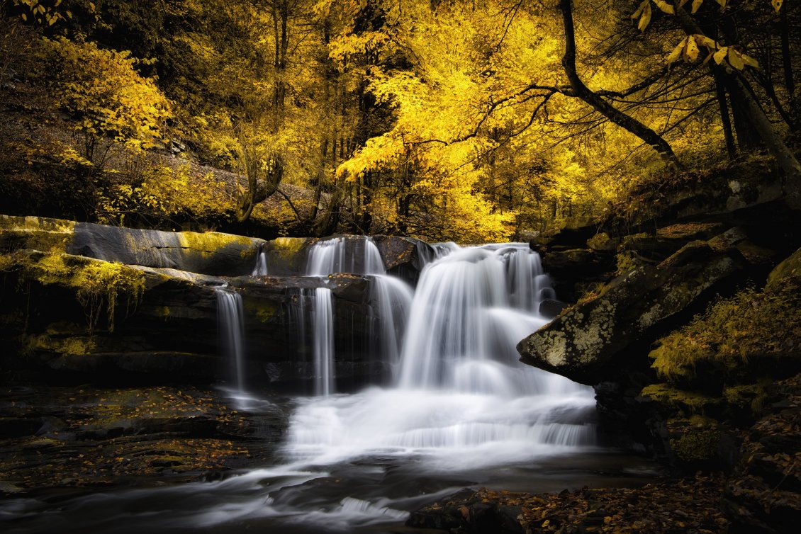 Download Wallpaper Waterfall on a river in the forest and trees leaves yellowed
