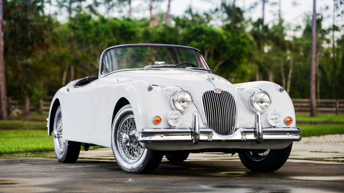 Download Wallpaper Front view from a classic Jaguar XK150