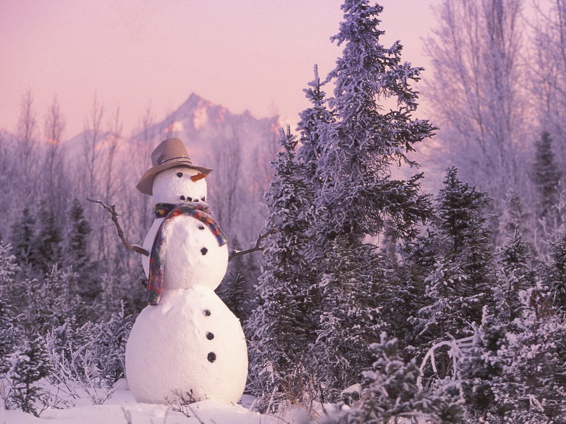 Download Wallpaper Snowman with hat and neckcloth near trees