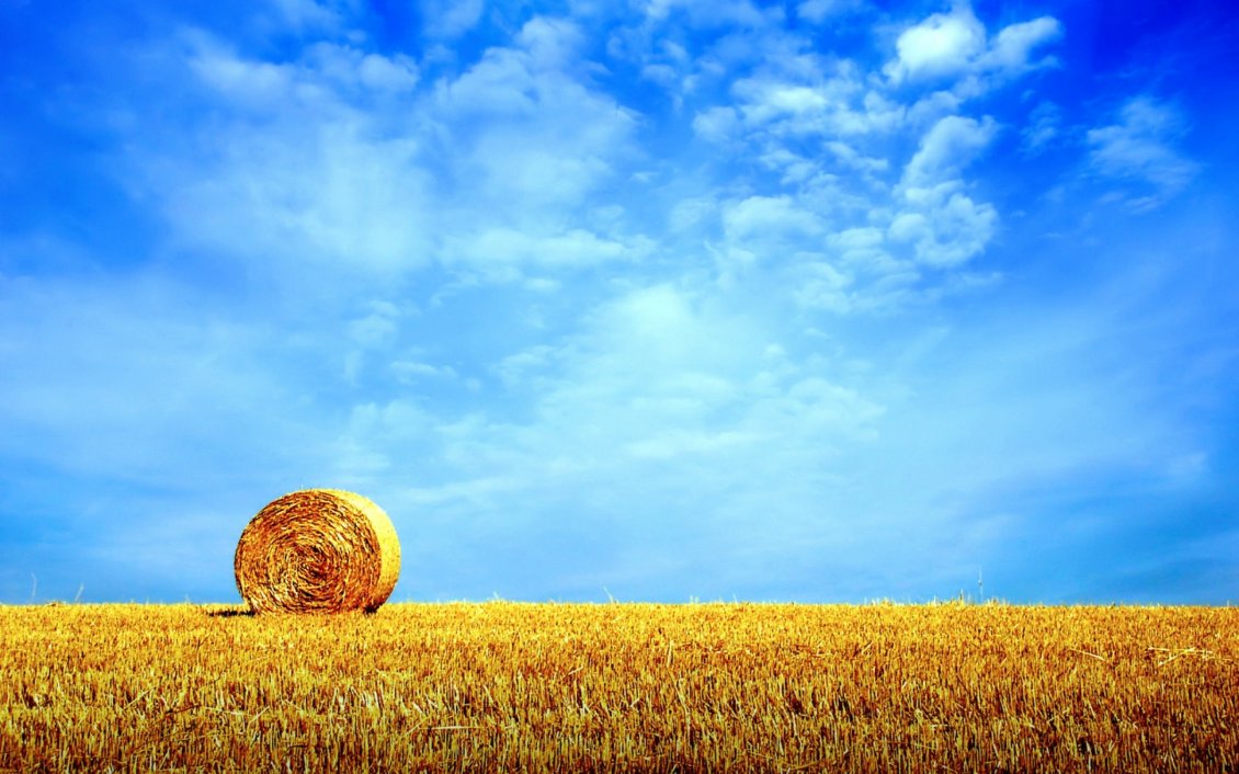 Download Wallpaper Golden wheat field - summer HD wallpaper