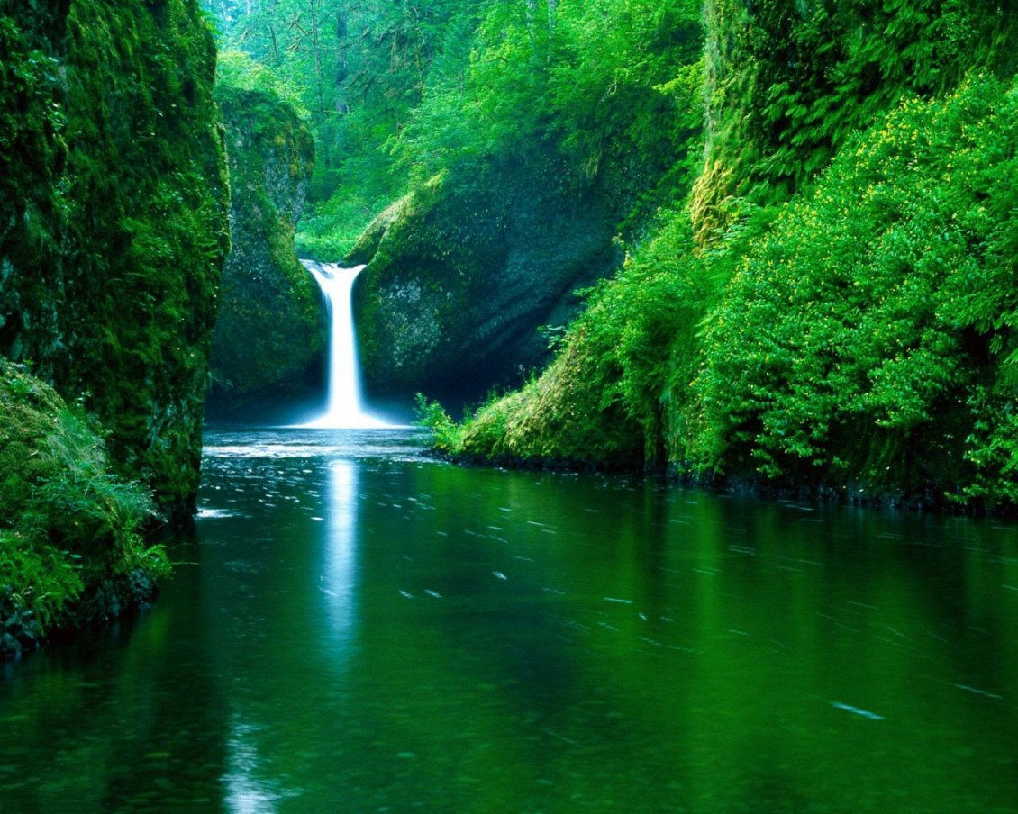 Download Wallpaper Magic waterfall in the green nature
