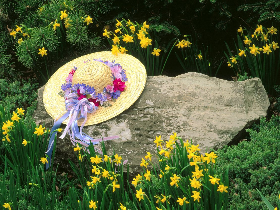 Download Wallpaper Hat adorned with flowers on a big stone