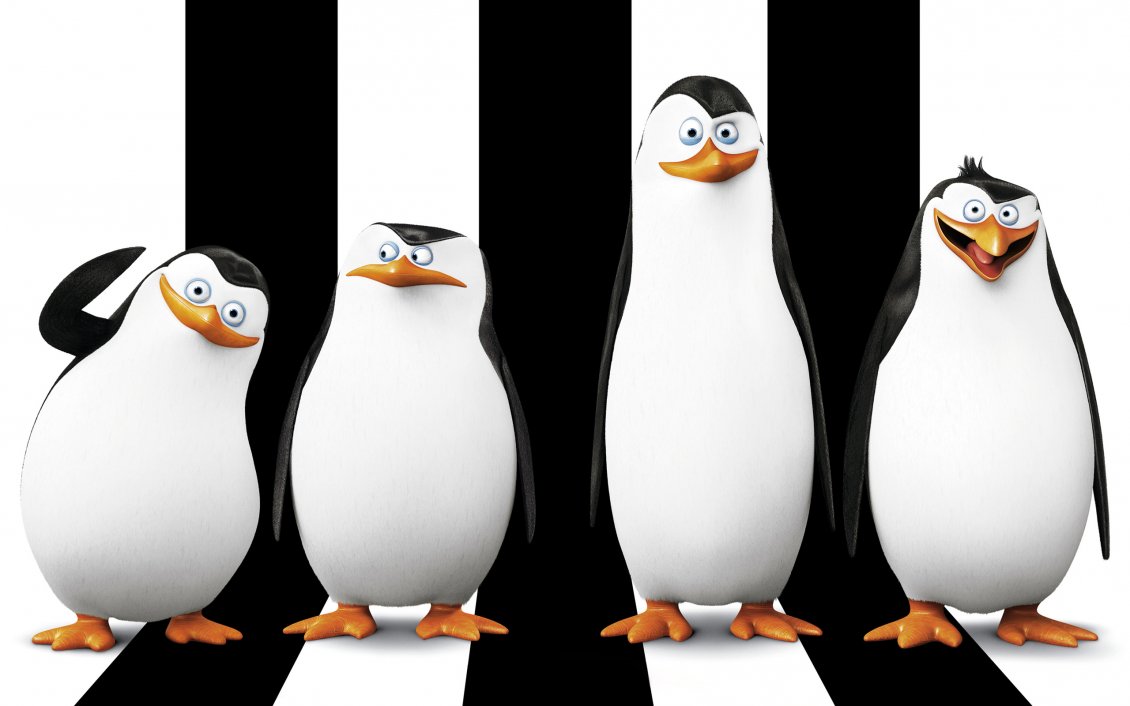 Download Wallpaper Penguins of Madagascar - Four penguins
