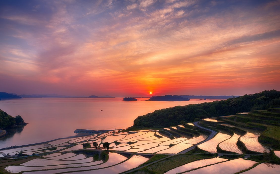 Download Wallpaper Red Japan Sunset Rice Terraces