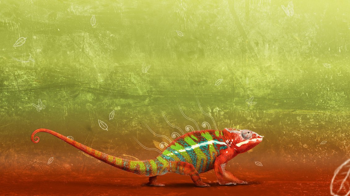 Download Wallpaper Colorful chameleon