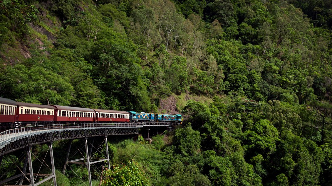 Download Wallpaper Train on the bridge between trees