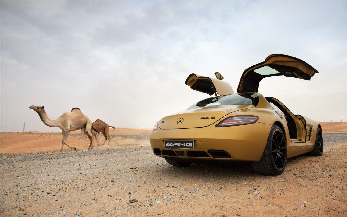 Download Wallpaper Gold AMG Mercedes Benz SLS in the desert
