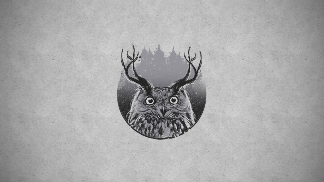 Download Wallpaper Awesome horned owl