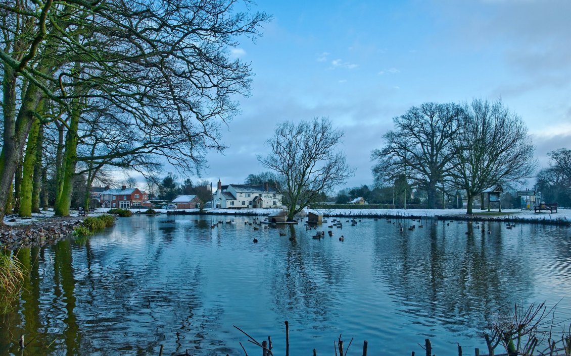 Download Wallpaper Winter in the village and ducks on the lake