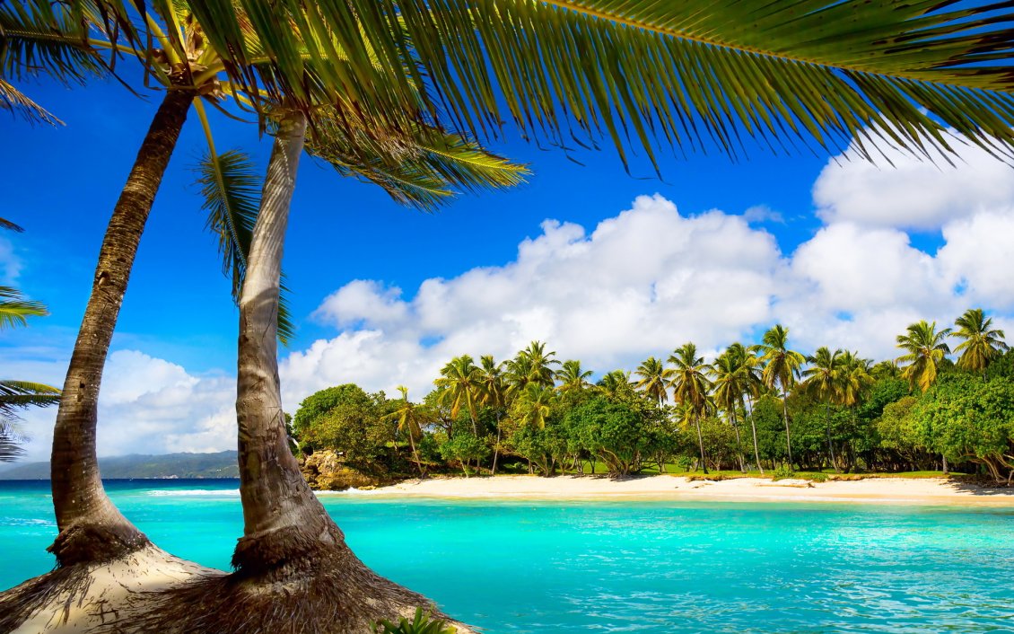 Download Wallpaper Tropical sea - Beach, palms and sunny