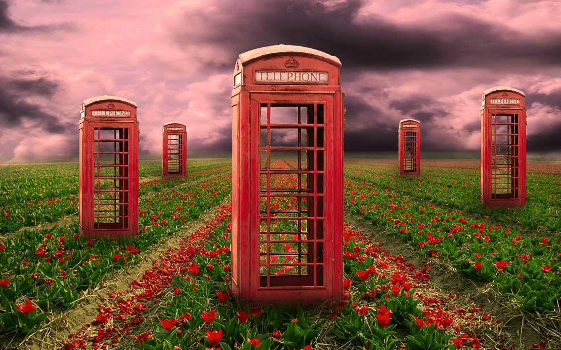 Download Wallpaper London phone booths on field