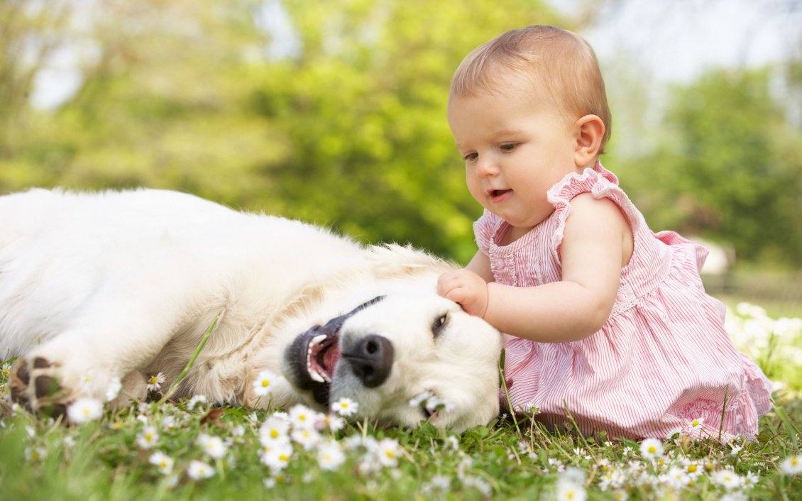 Download Wallpaper Baby girl plays with her white dog