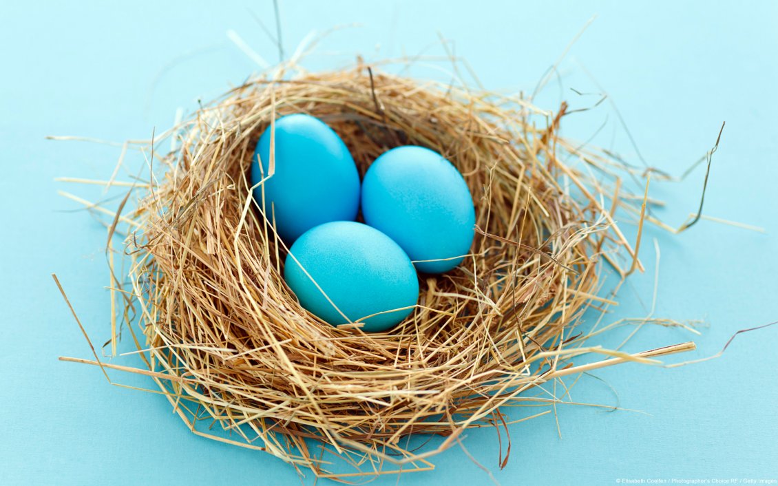Download Wallpaper Three blue eggs in the nest - Abstract wallpaper