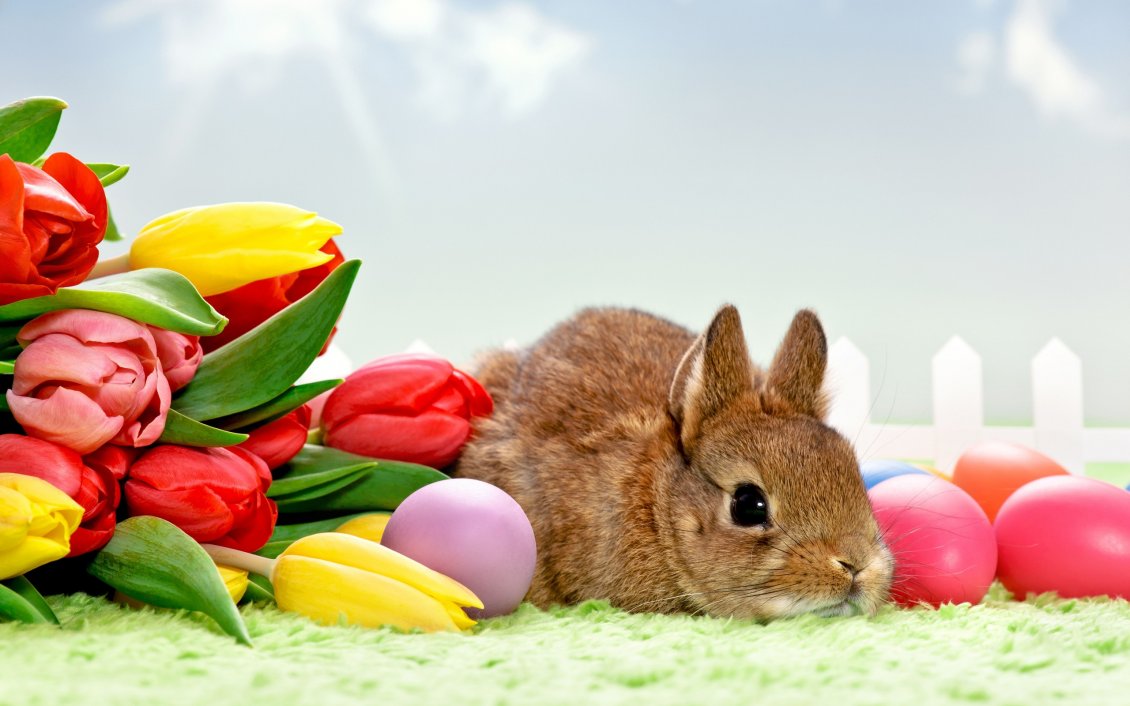 Download Wallpaper Brown rabbit, red eggs and many tulips - Happy Easter