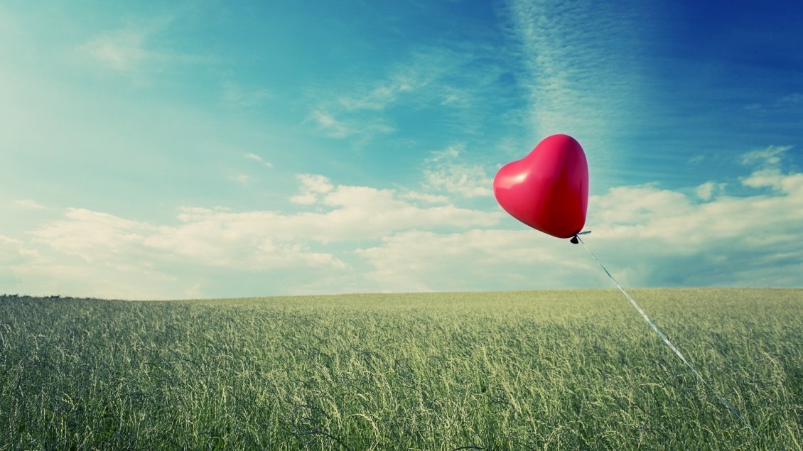Download Wallpaper One alone heart balloon flying over the field