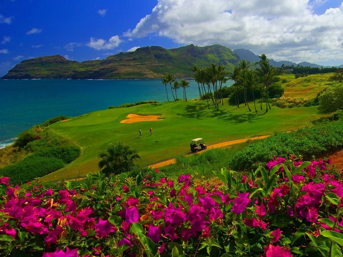 Download Wallpaper Beautiful and relaxing golf course on the shore of the sea