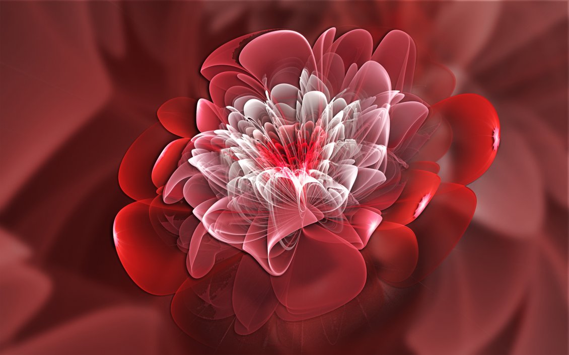 Download Wallpaper Red and white fractal shaped flower