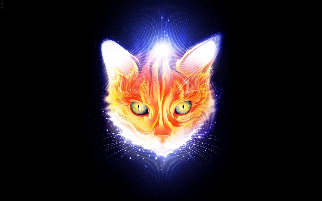 Download Wallpaper Abstract head cat in flames