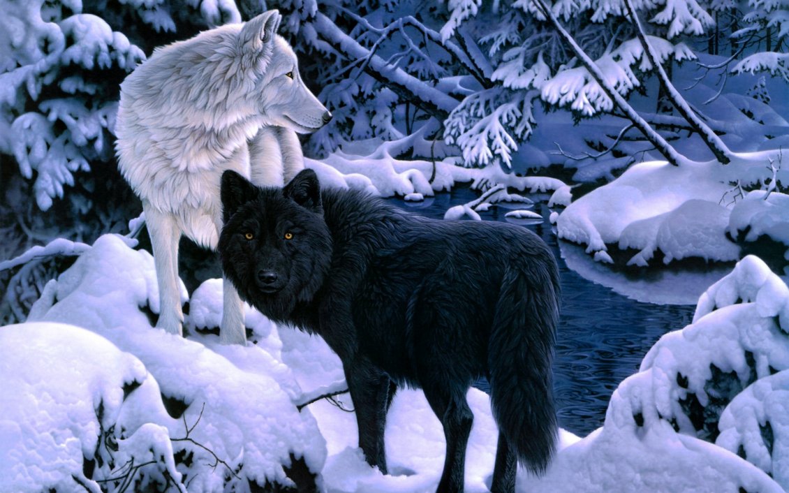 Download Wallpaper Black and white wolfs in the forest