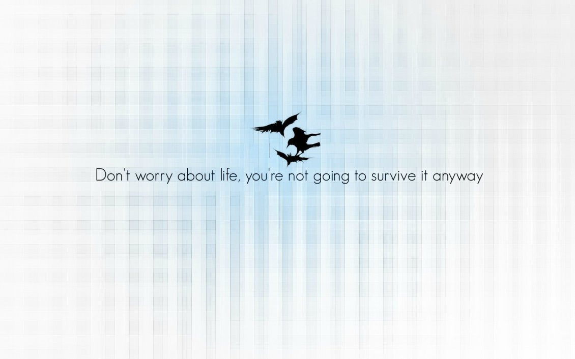 Download Wallpaper Don't worry about life