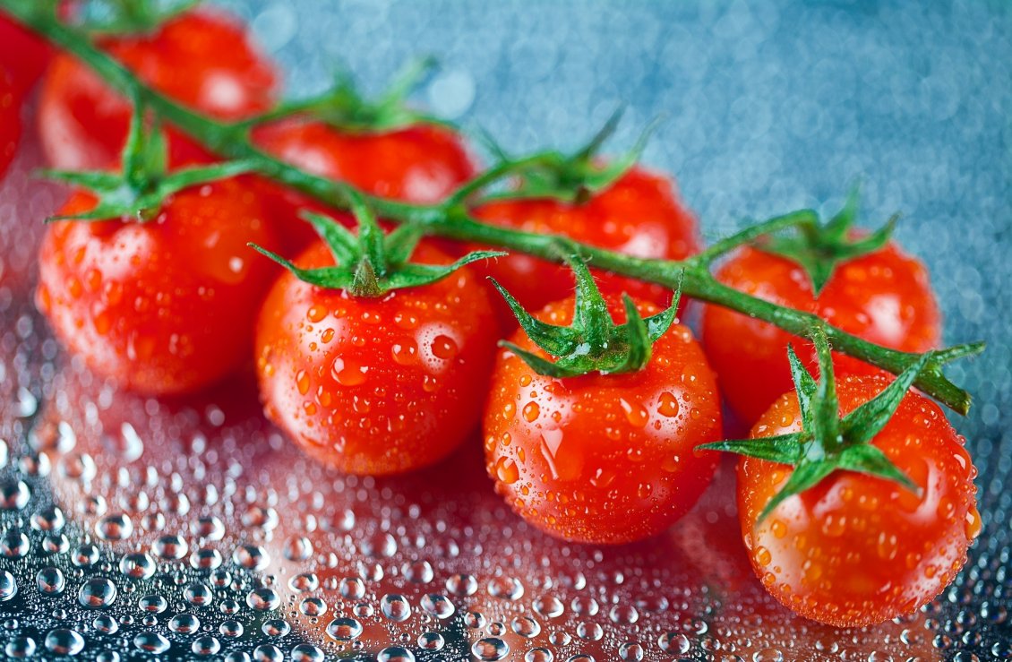 Download Wallpaper Cherry tomatoes in the rain - HD wallpaper