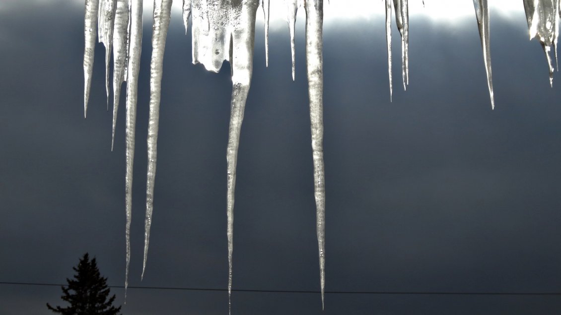 Download Wallpaper Sharpening icicles