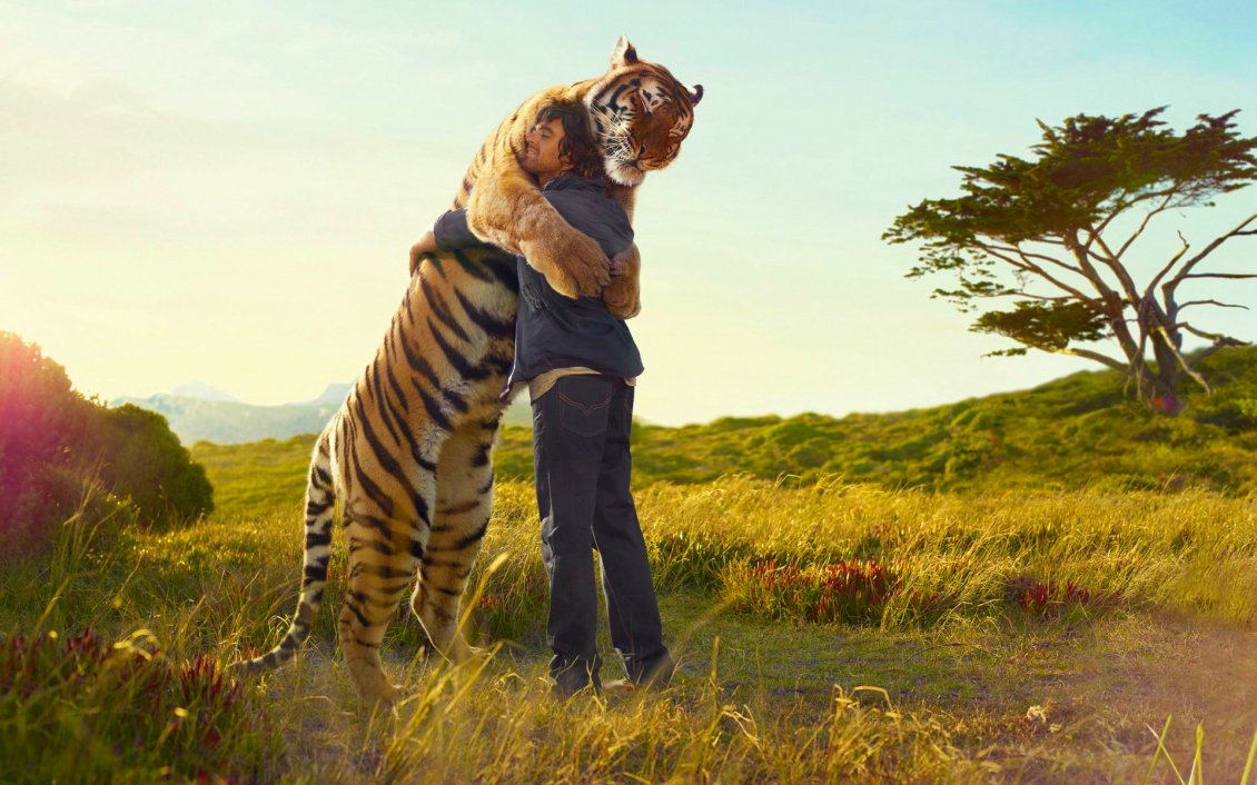 Download Wallpaper Man hugs a tiger HD