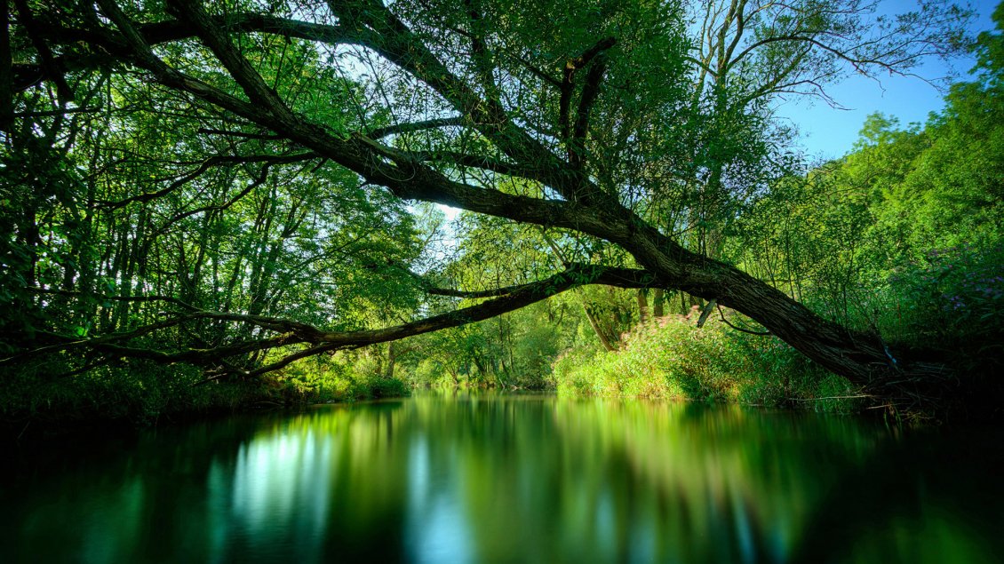 Download Wallpaper Green magic water - Lovely landscape