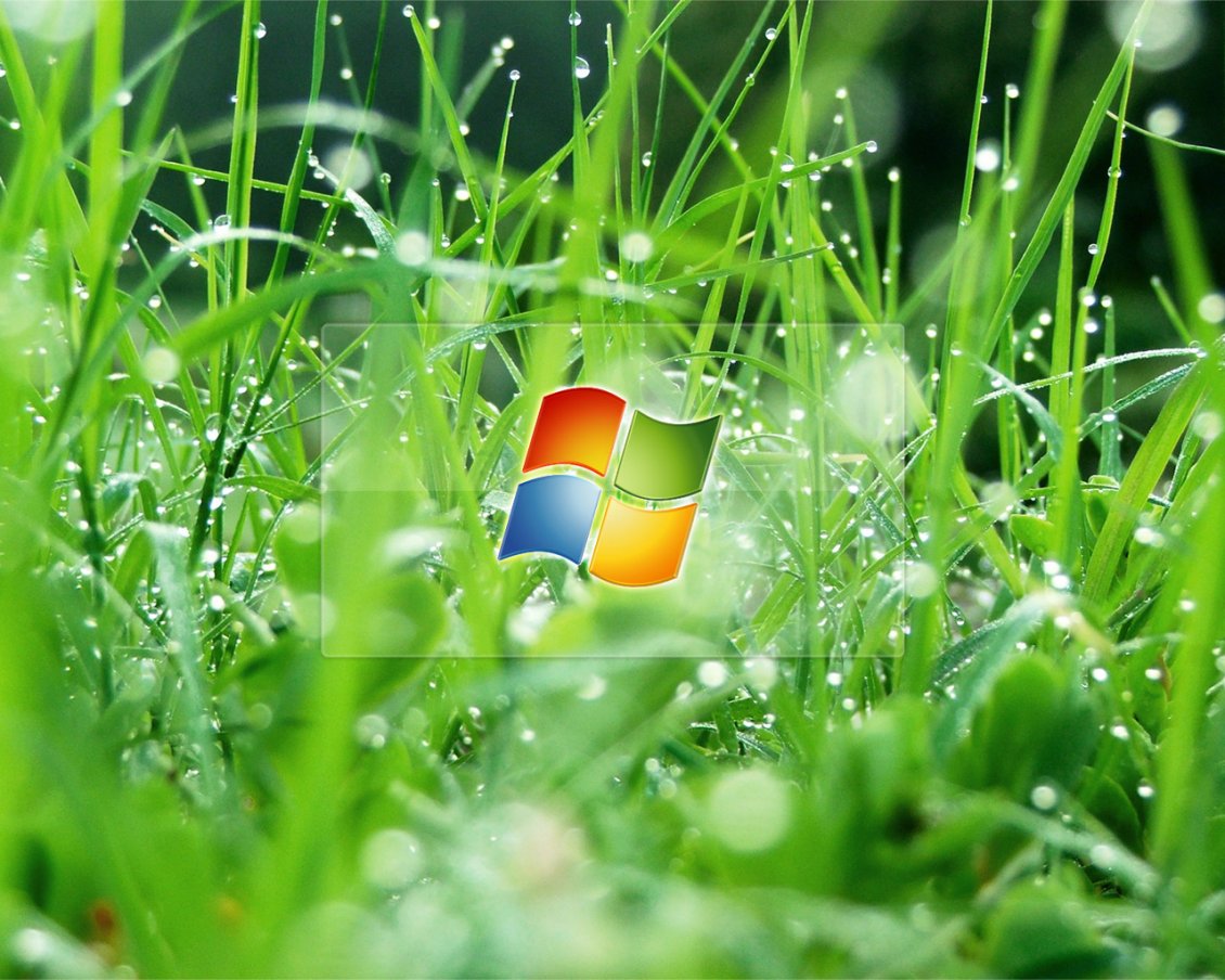 Download Wallpaper Windows glass in the grass with dew drops