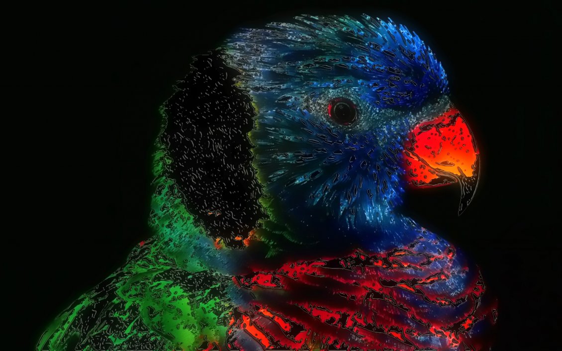 Download Wallpaper Artistic colorful bird wallpaper - Abstract wallpaper