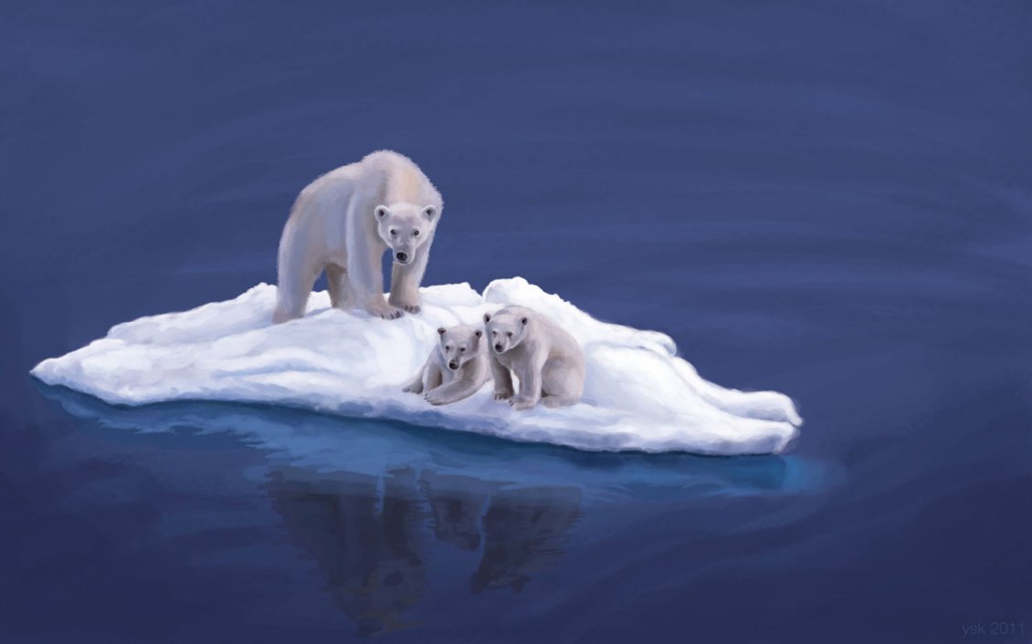 Download Wallpaper A polar bear and two cubs on the ice island