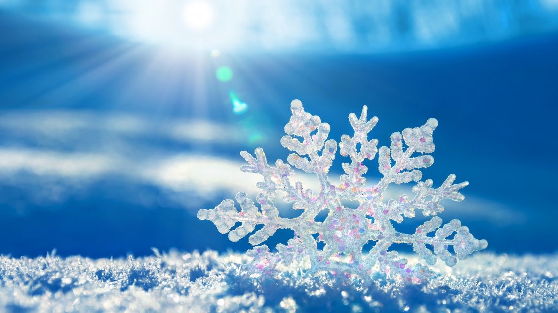 Download Wallpaper A snowflake in the sunlight