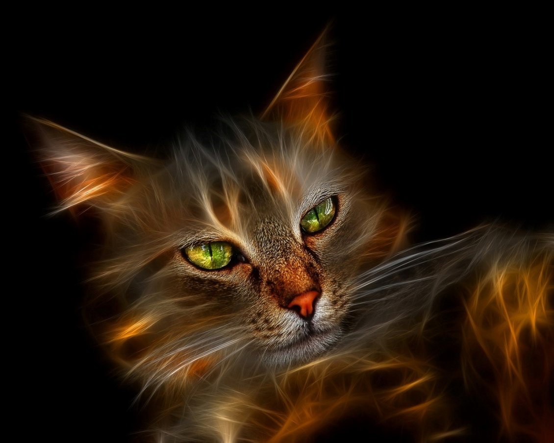 Download Wallpaper Abstract lighted cat with green eyes