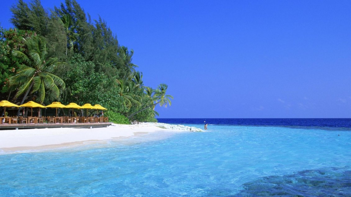 Download Wallpaper Beautiful landscape - Beach, palms and blue sea