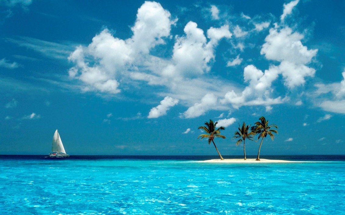Download Wallpaper Three coconut trees on an island and a sailboat