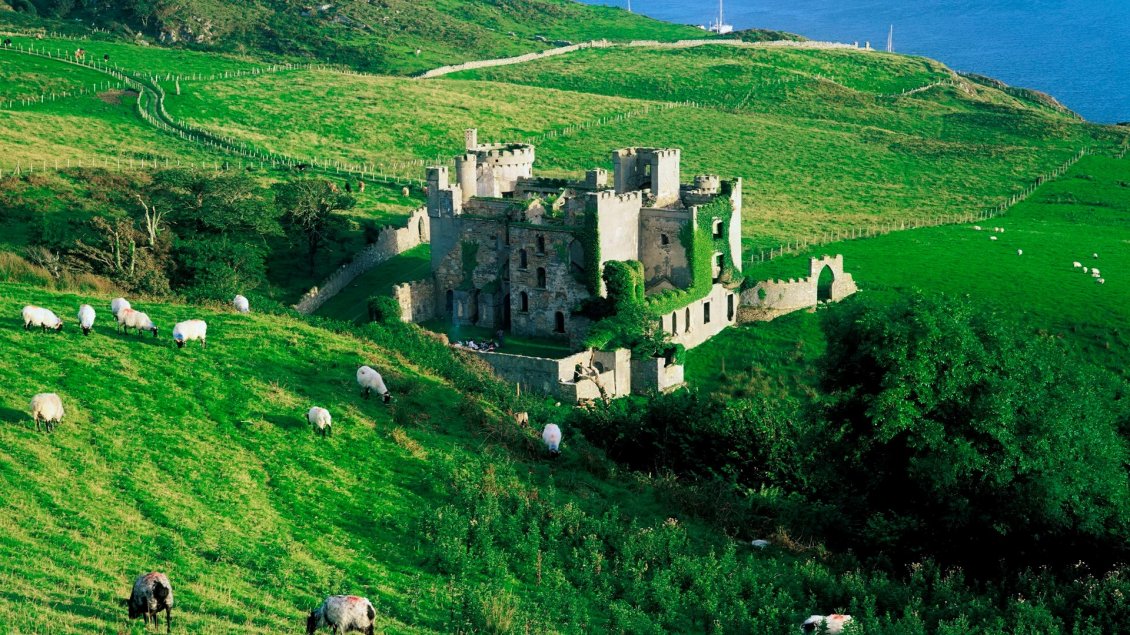 Download Wallpaper A castle on the hill and many sheeps grazing around