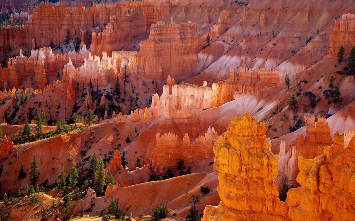 Download Wallpaper Bryce Canyon National Park in the Utah, United States