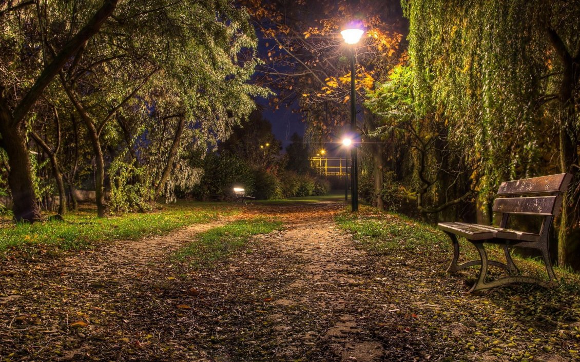 Download Wallpaper Beautiful and soothing night in the park