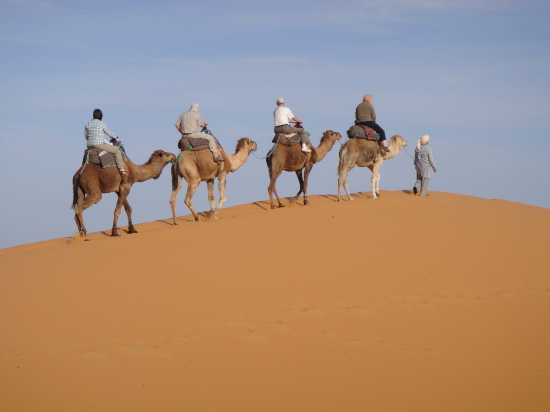Download Wallpaper Men on camels climb hills of sand in dessert