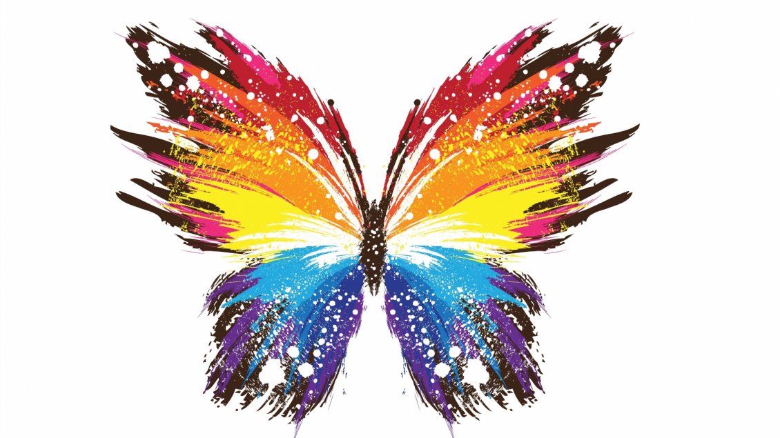 Download Wallpaper Multicolored drawing abstract butterfly
