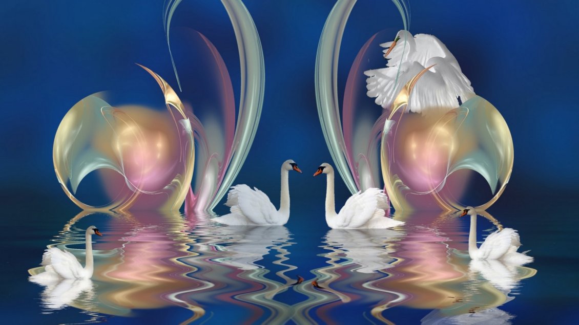 Download Wallpaper Many swan swim on the water
