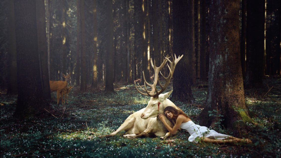 Download Wallpaper A girl beside a white deer in the forest