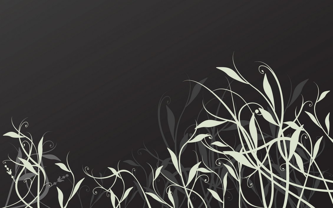 Download Wallpaper Graphics white grass and leaves