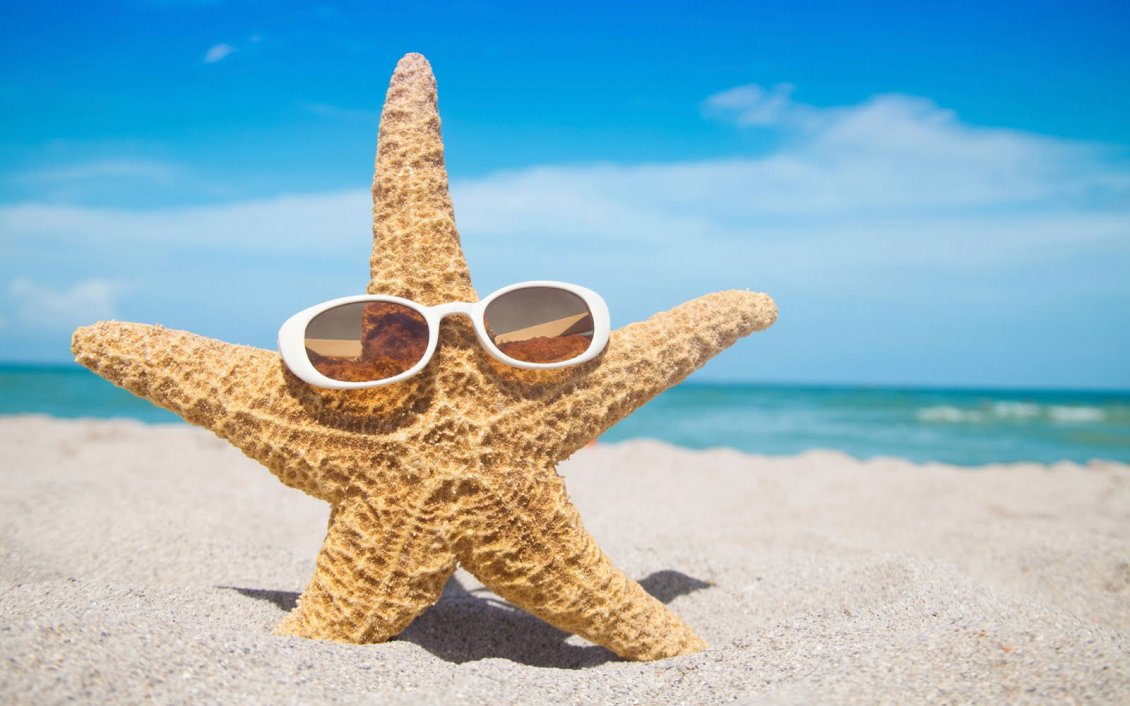 Download Wallpaper A starfish with sunglasses in the sand