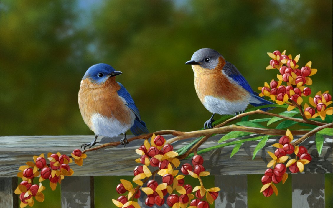 Download Wallpaper Two beautiful birds on a fence