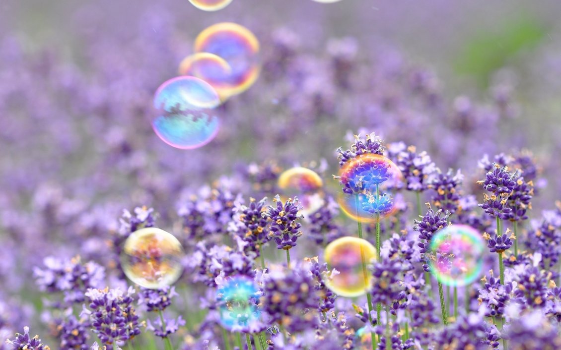 Download Wallpaper Colorful balloons above the field with flowers