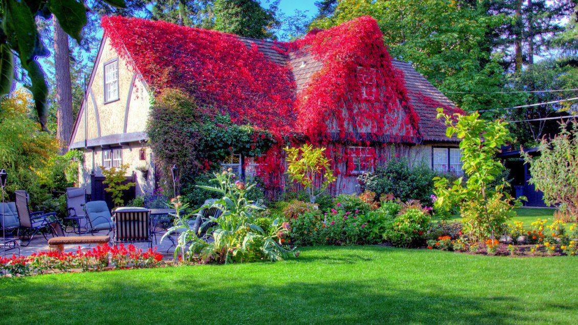 Download Wallpaper Red flowers on the roof and a beautiful garden